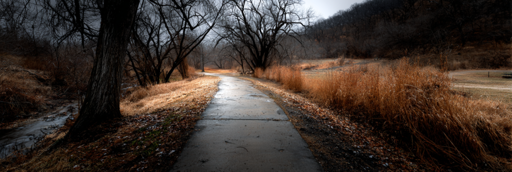A paved path stretching forward through a winter landscape, bordered by bare trees and dry grass, with muted colors and an overcast sky.